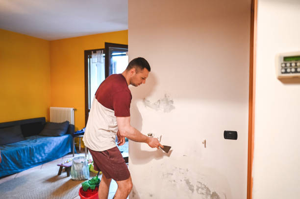 Best Residential Mold Removal  in Delft Colony, CA