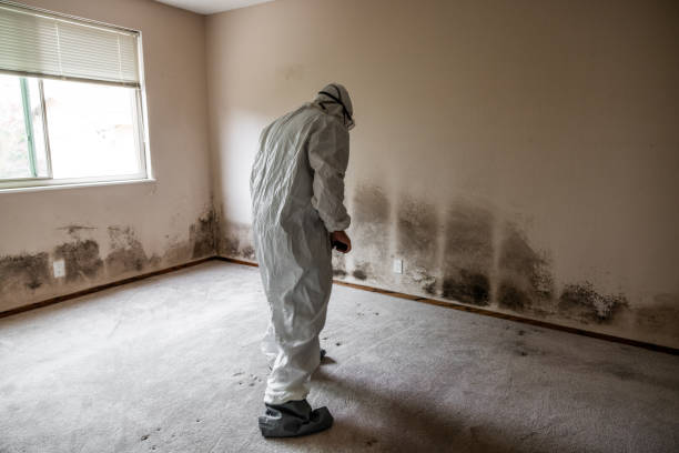 Best Mold Testing  in Delft Colony, CA
